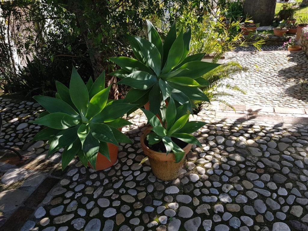 Casas De Almajar Holiday home *