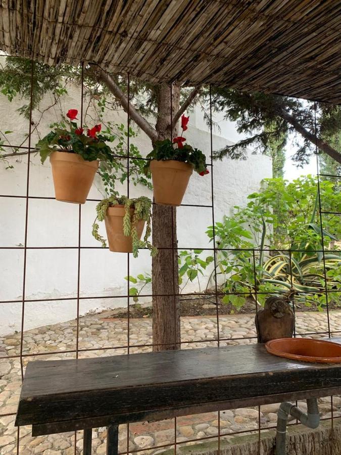 Casas De Almajar Holiday home Prado Del Rey