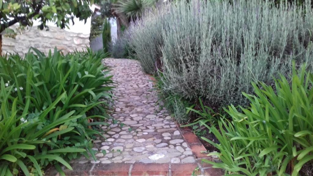 Holiday home Casas De Almajar *