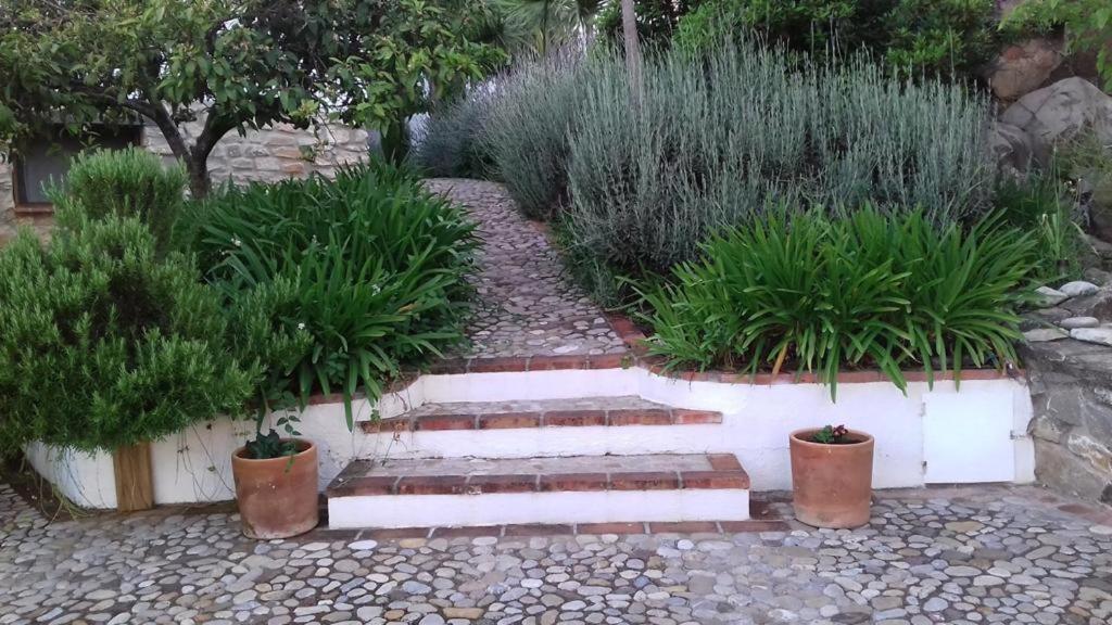 Holiday home Casas De Almajar