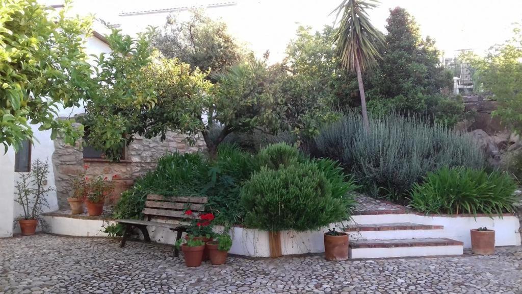 Casas De Almajar Holiday home Prado Del Rey