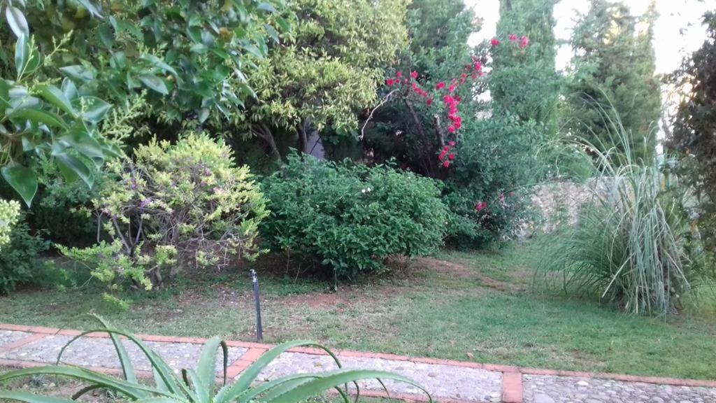 Holiday home Casas De Almajar *