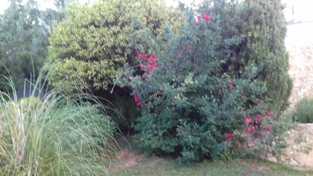 Casas De Almajar Holiday home Prado Del Rey