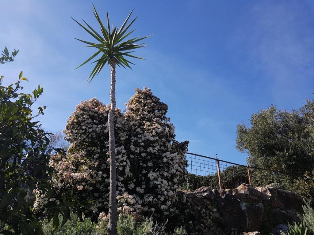 Casas De Almajar