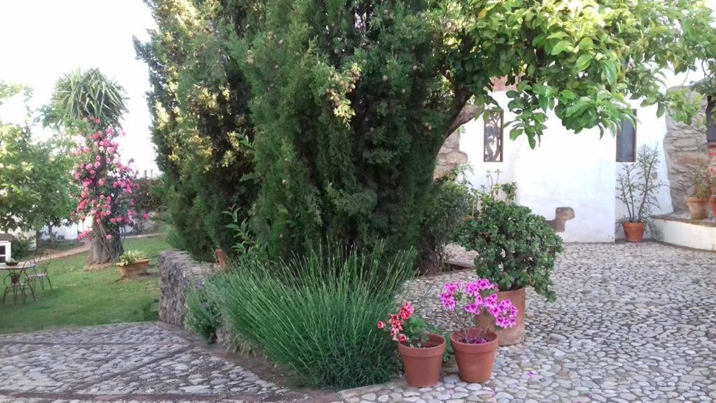 Ferienhaus Casas De Almajar