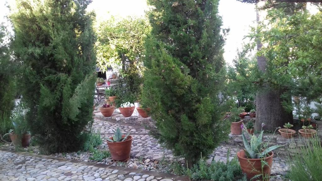 Casas De Almajar Ferienhaus *