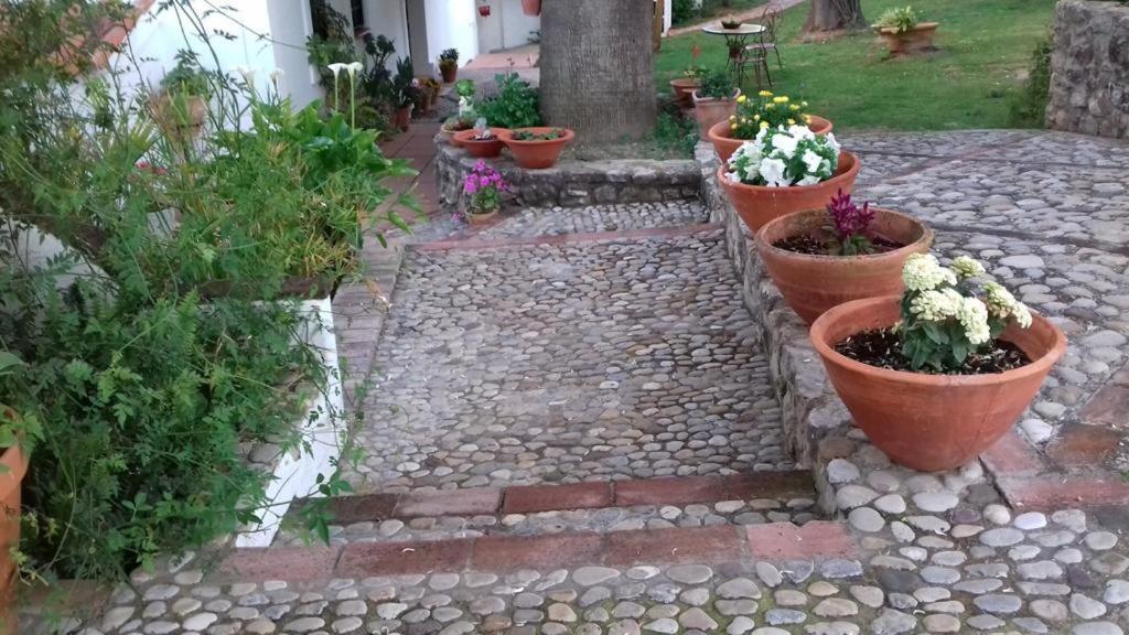 Casas De Almajar * Prado Del Rey
